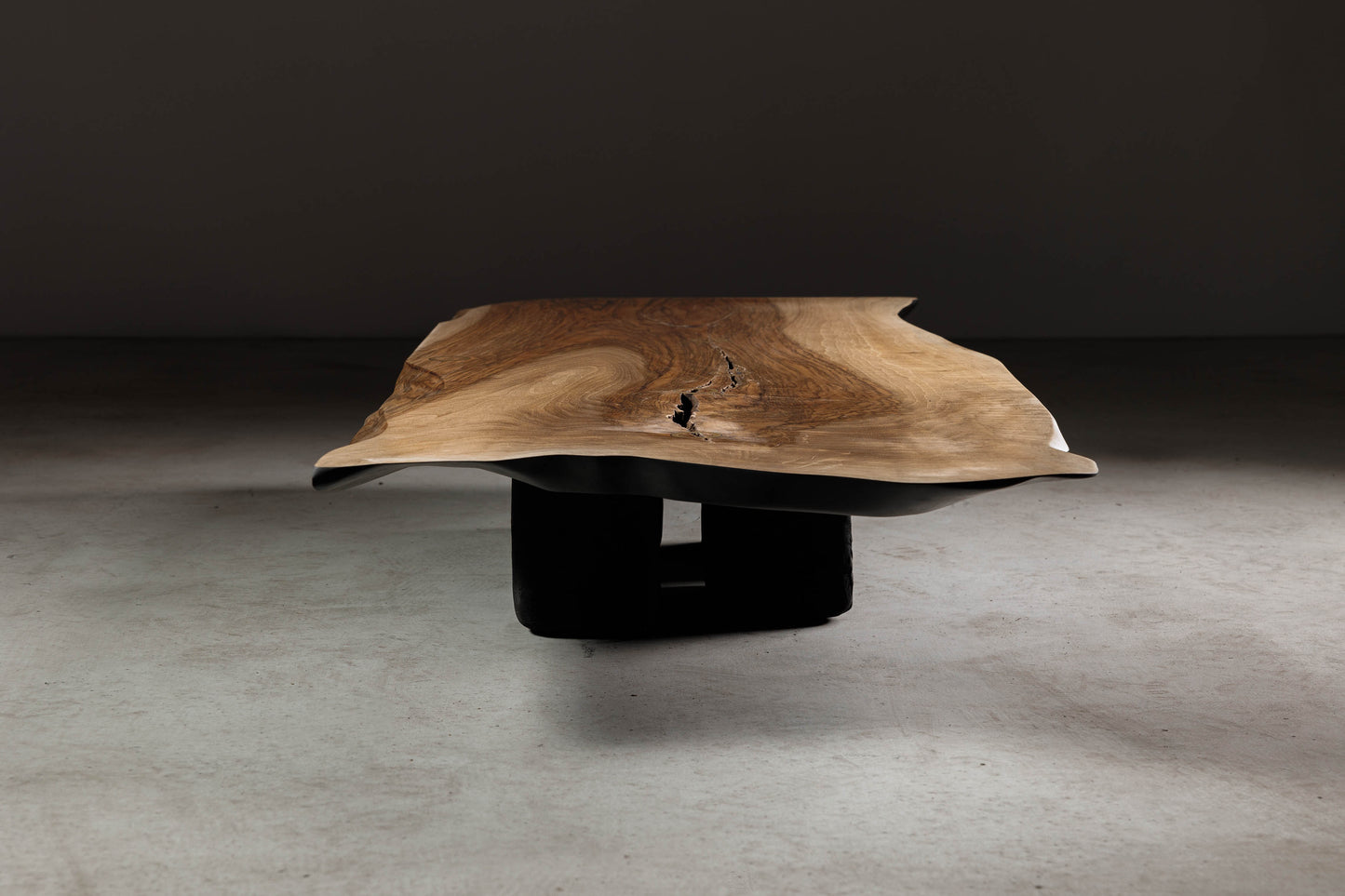 Modern Organic Walnut Coffee Table EM109 Part Of 18Brut Collection | Front view of the coffee table showcasing the fluid geometry of the live edge.