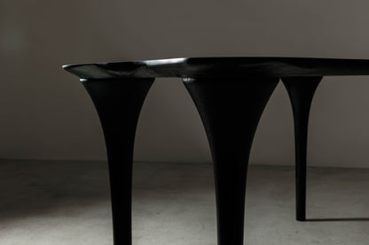 Oval Dining Table for 6 | EM212 Of Erosio Collection | Walnut Slab & Black Ash